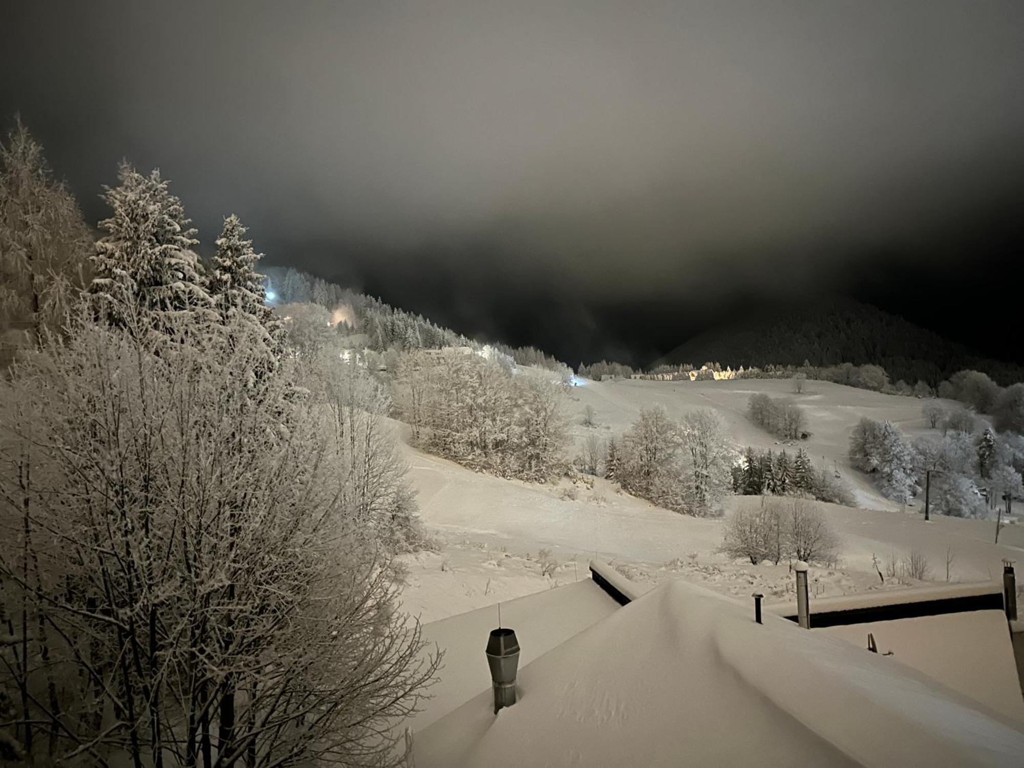 Apartman Forest View ドノヴァリ エクステリア 写真