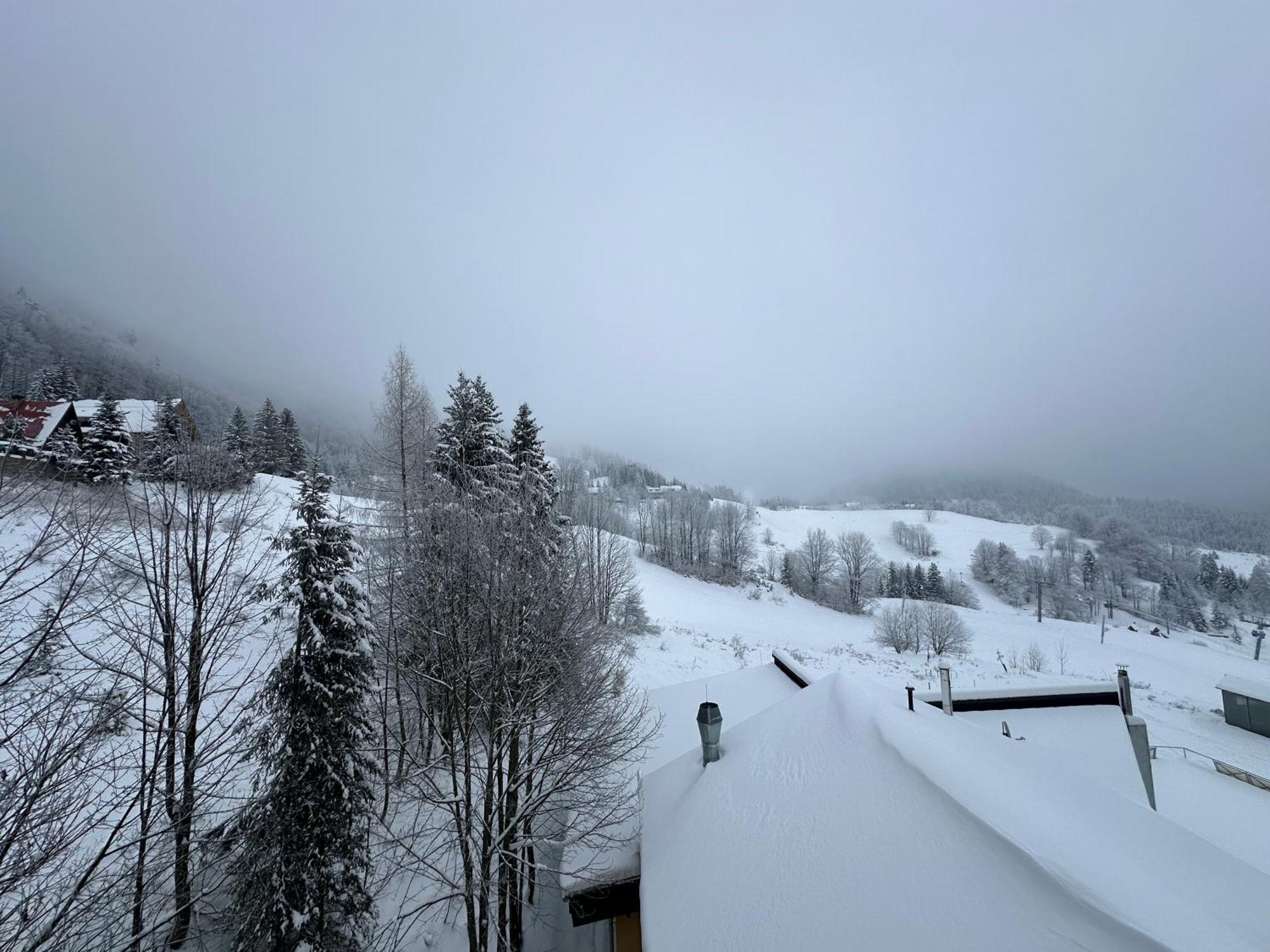 Apartman Forest View ドノヴァリ エクステリア 写真